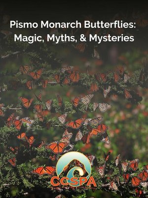 cover image of Pismo Monarch Butterflies